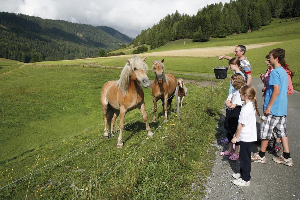 Ferienhaus Maxi Sankt Blasen Esterno foto